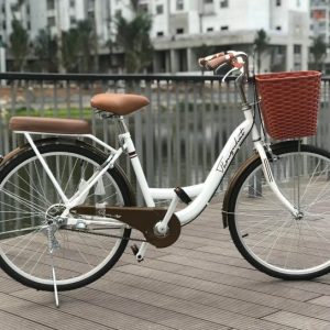 Thong Nhat Bicycle VN multicolor – New 24/26inhch