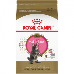 Royal Canin – Maine Coon Kitten Dry Cat Food