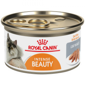 Royal Canin – Intense Beauty Loaf in Sauce Canned Cat Food