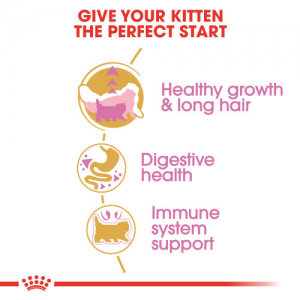 Royal Canin – Persian Kitten Dry Cat Food 3lbs