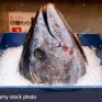 Frozen yellowfin tuna head Good quality cheap price